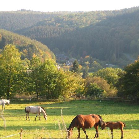 Pretty Cottage Ardennes Near The Valley Of Lesse Vencimont Exteriér fotografie