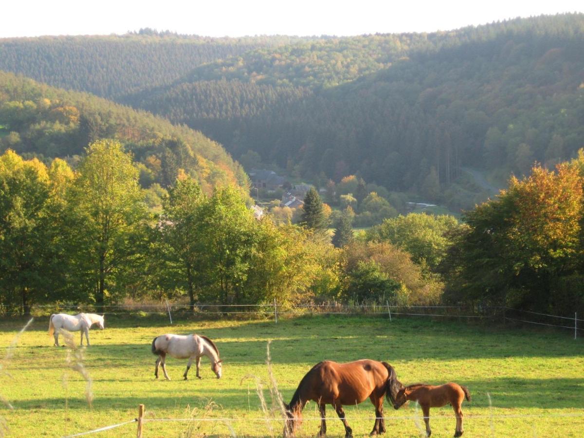 Pretty Cottage Ardennes Near The Valley Of Lesse Vencimont Exteriér fotografie