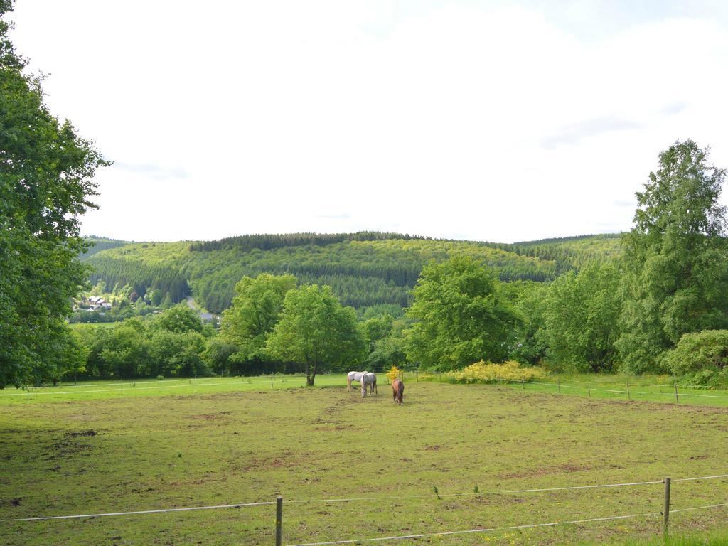 Pretty Cottage Ardennes Near The Valley Of Lesse Vencimont Exteriér fotografie